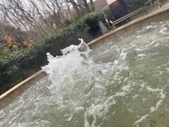 -思念果岭悦温泉