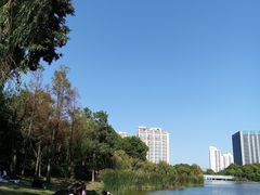 -南翔镇银翔湖公园