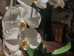 大堂-林四喜·闽南传家菜(鼓浪屿店)