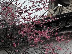-绩溪龙川景区