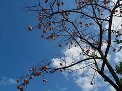 -青州市云门山风景区