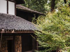 -杭州植物园