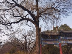 -国家植物园