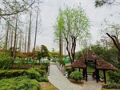 -黄兴公园