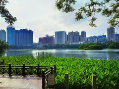 -南宁南湖公园