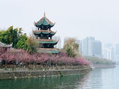 -望江楼公园