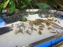 -汉丽轩韩式自助烤肉十二年(SM广场店)