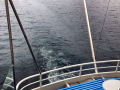 iphone_upload_pic-卢塞恩湖