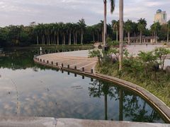-南宁南湖公园