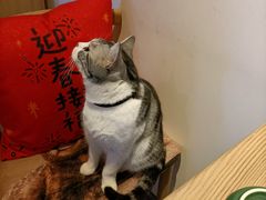 -天津卫码头(南开大悦城店)