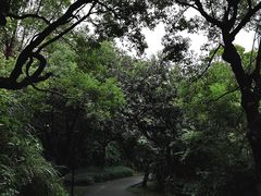 -燕晗山郊野公园