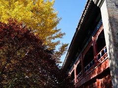 -大钟寺古钟博物馆