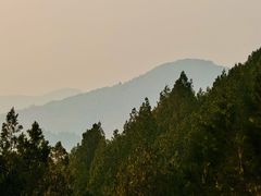 -府君山公园