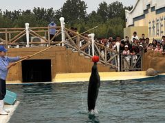 -秦皇岛乐岛海洋王国