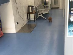 店内环境-伟伟宠物医院·CT影像中心·瑞派犬猫综合性门诊(汉口总院)
