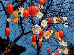 -西溪国家湿地公园