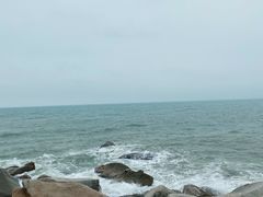 -广东惠东海龟国家级自然保护区
