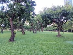 -荔枝公园(福田区)