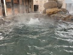 -春晖园度假酒店温泉