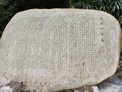 -鼎湖山风景区