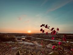 -台山侨雅海鲜粥底火锅(台山侨雅花苑店)