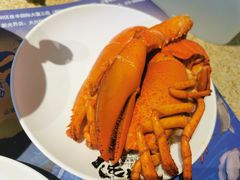 -初色海鲜自助(万丰路店)