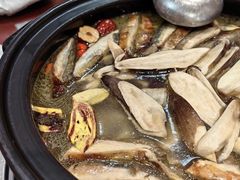 -菌之家·专业纯野生菌火锅·特色炒菌