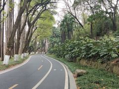 -采石矶景区