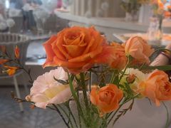 -Tomacado花厨(One ITC店)