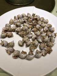 -惠食佳·宴会厅(滨江西路店)