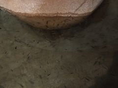 -碧水湾温泉