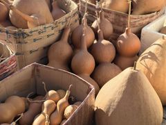 -中环花鸟鱼虫市场