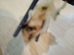 -粥传(太古里店)