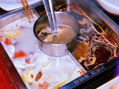 渝利鸳鸯锅-渝利重庆火锅