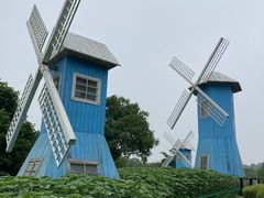 -宜兴龙背山森林公园