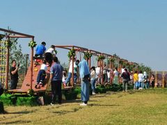 -汉长安城未央宫国家考古遗址公园