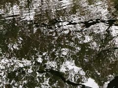 -郑和公园