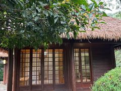 -中国茶叶博物馆(双峰馆区)