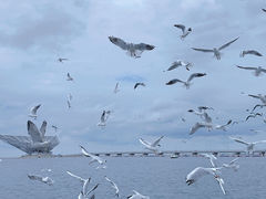 -山海广场