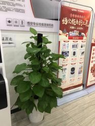 -悟空祛痘·亚健康皮肤管理中心