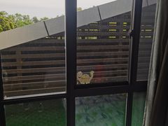 -常州环球恐龙城维景国际大酒店