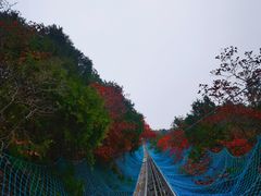 -红螺寺