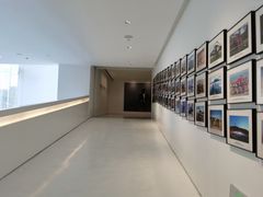 -罗红摄影艺术馆