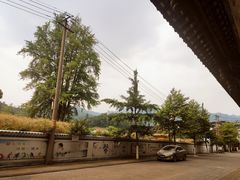 -叶婆婆豆浆馍馍