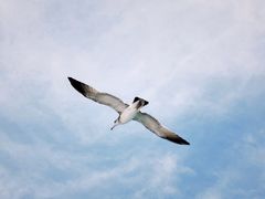 -海驴岛(荣成市)