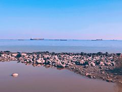 -上海吴淞炮台湾国家湿地公园