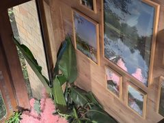 -春暖花开(西溪店)