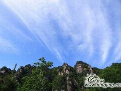 -王顺山国家森林公园