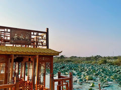 -军山湖云水间水上餐厅(进贤店)