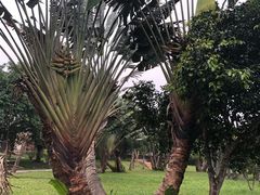 -红色娘子军纪念园